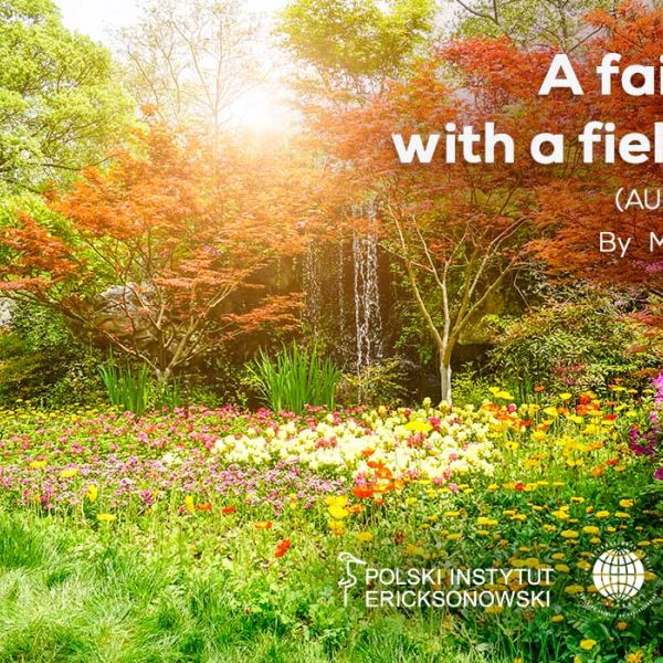 A fairy tale with a field wind - Monika Chajdas